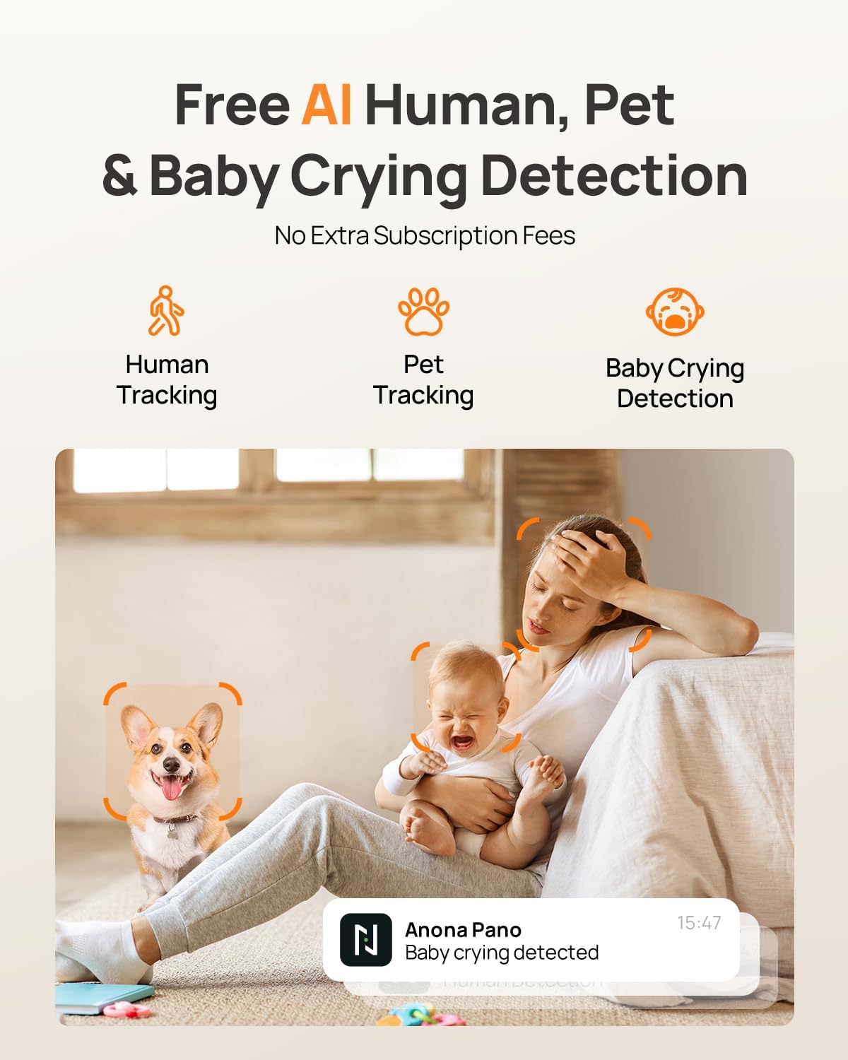Home Security Revolution