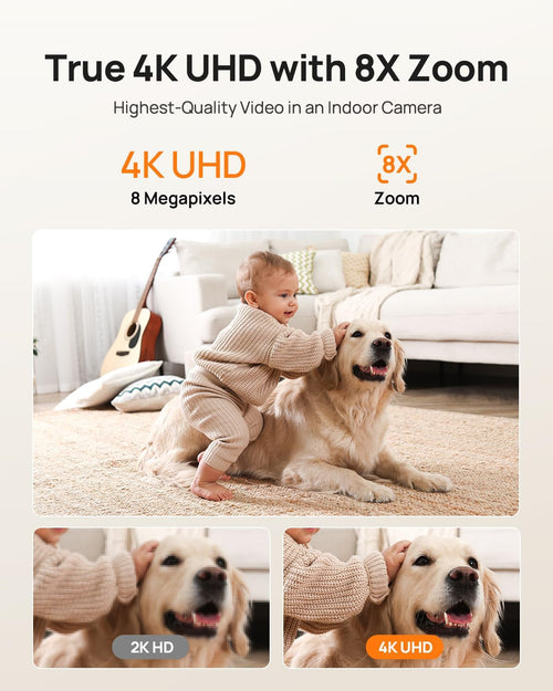 Home Security Revolution